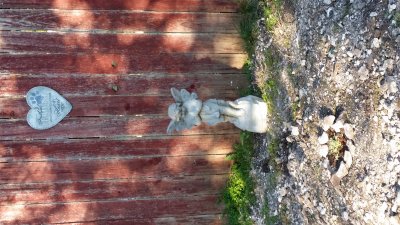 20160207_084500.jpg