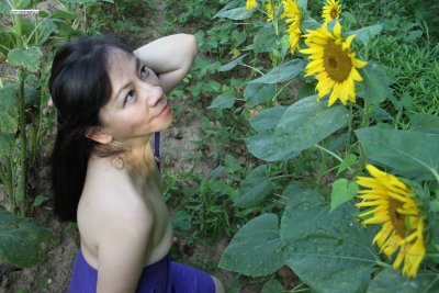 worshipping sunflowers 2013