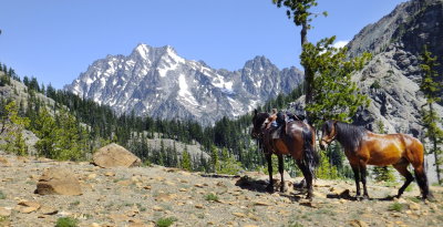 Mt Stuart