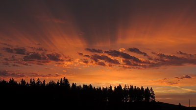 Sunrise