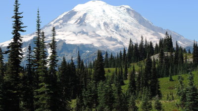 rainier
