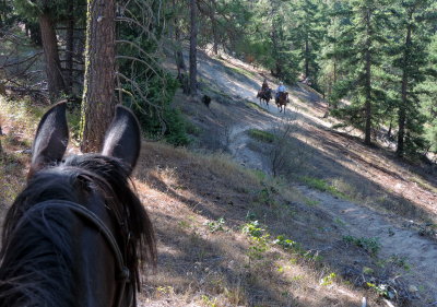 Riding in Cle Elum Washington