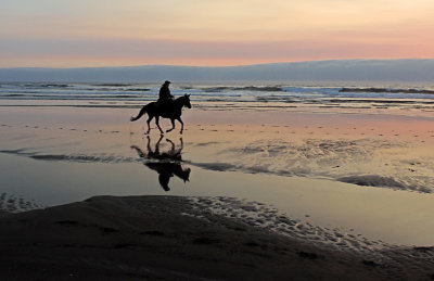 Galloping at sunset