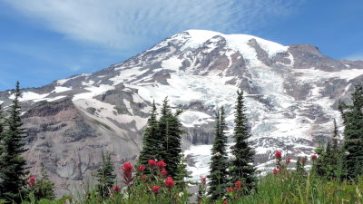 Mt Rainier