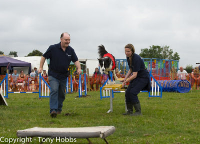 Dog Agility by National Animal Welfare Trust at Low Ham Steam Rally