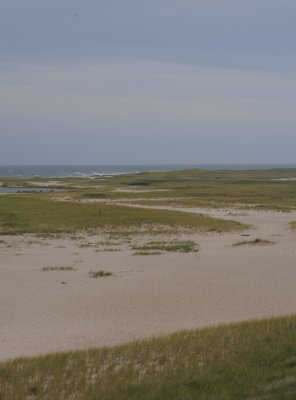 Cape Cod dunes.jpg