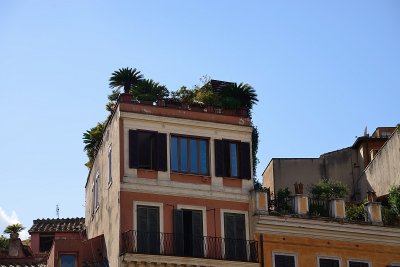 813_8153.JPG