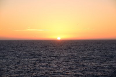 813_8235.JPG
