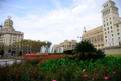 813_8786.JPG