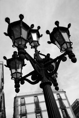 813_8950_01.JPG