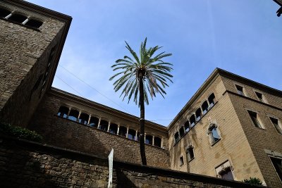 813_8961.JPG