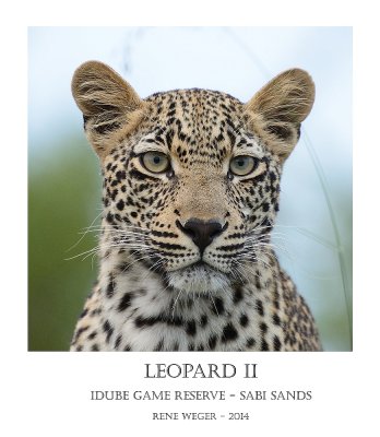 Leopard_II.jpg