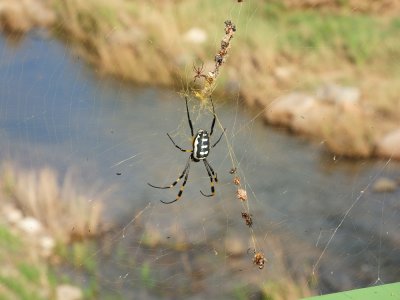 DSCN3035.JPG