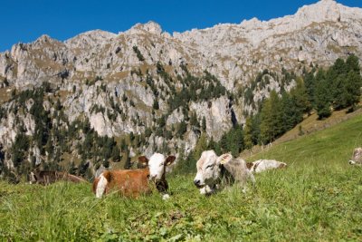 Südtirol - South Tyrol