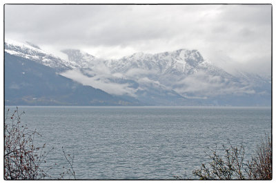 DSC_0177.jpg