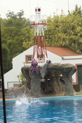 dive