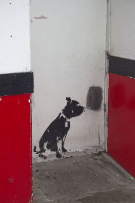dog