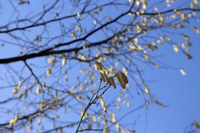 spring time