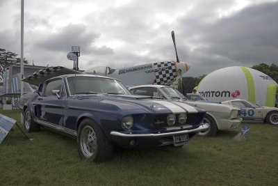 mustang