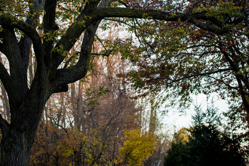 DSC_3668.jpg