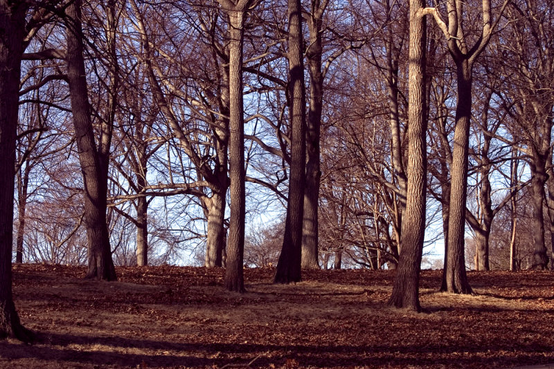 Branch Brook Park, NJ