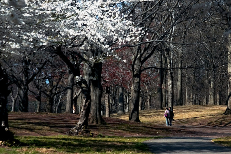Branch Brook Park, NJ