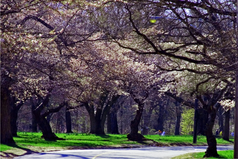 Branch Brook Park, NJ
