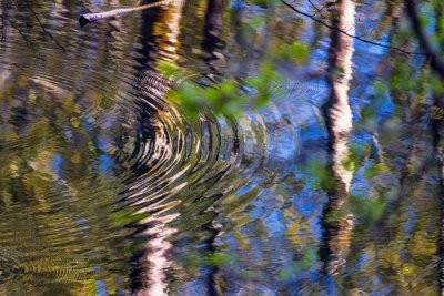 Reflection042614.jpg