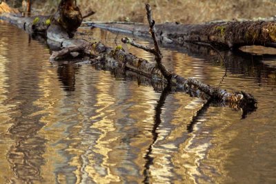 BarnabyReflect030215.jpg