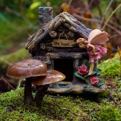 MushroomsHouse102216.jpg