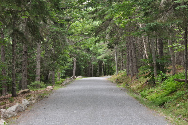 06-Nov-2013: Lifes Path