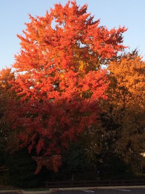 Endings: A Day and A Season