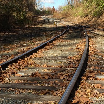 Life's Path: Two Paths Converge Ahead