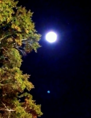 Full Moon over Mobile
