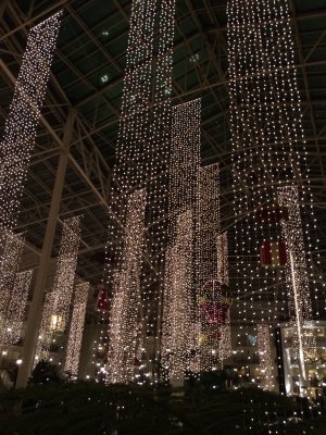2013-12-05 19:01