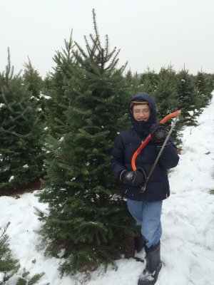 Picking our Christmas Tree 
