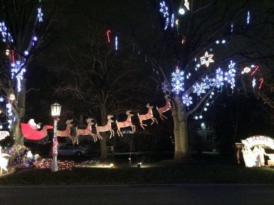Holiday Lights