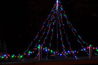 Light Tree #3