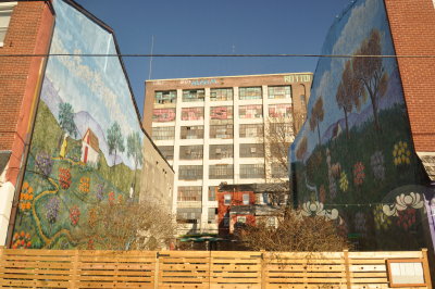 DSC_0633.JPG