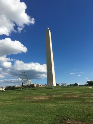 IMG_6431.JPG