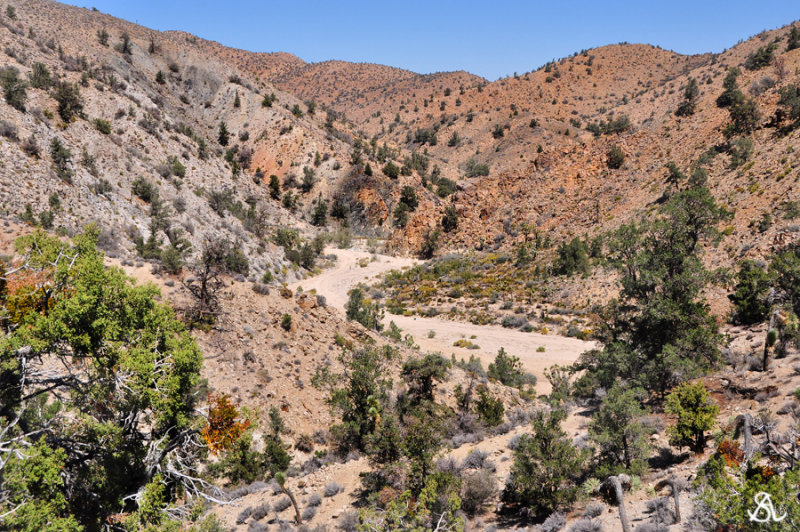 Rattle Snake Canyon.