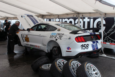 GS-Multimatic Motorsports Ford Shelby GT350R-C