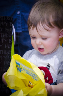 Oliver_1st_Bday-113.jpg