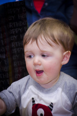 Oliver_1st_Bday-118.jpg
