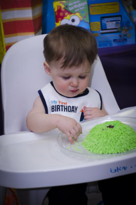 Oliver_1st_Bday-193.jpg