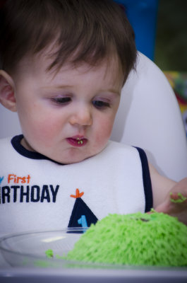 Oliver_1st_Bday-196.jpg