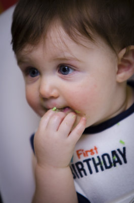 Oliver_1st_Bday-208.jpg