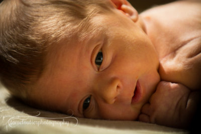 joshua_fish_March13-12.jpg