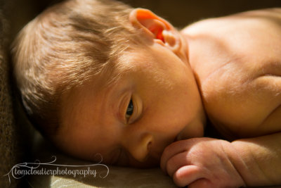 joshua_fish_March13-13.jpg