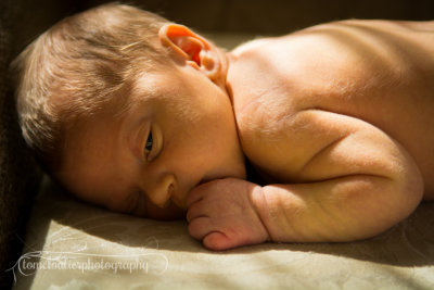 joshua_fish_March13-14.jpg